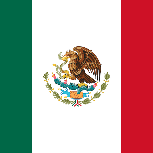 Setup F1 25 - México